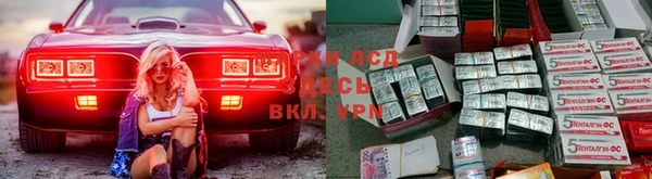 твердый Каменногорск