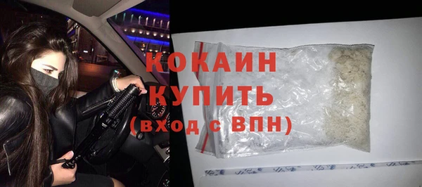 индика Каменка