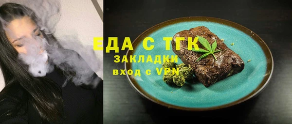 индика Каменка