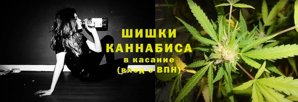 твердый Каменногорск