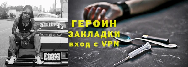 индика Каменка