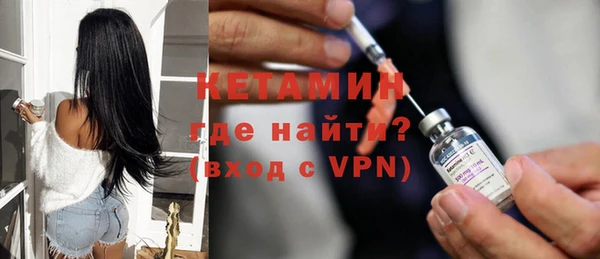 индика Каменка