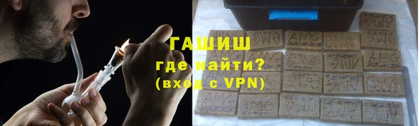 индика Каменка