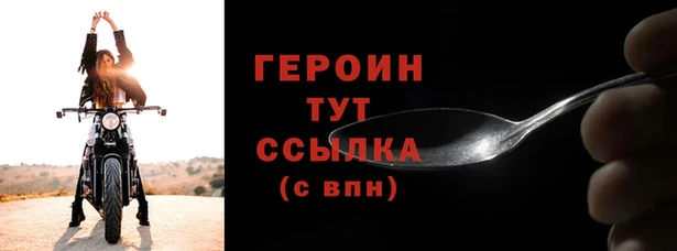 индика Каменка