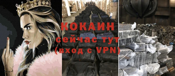 индика Каменка