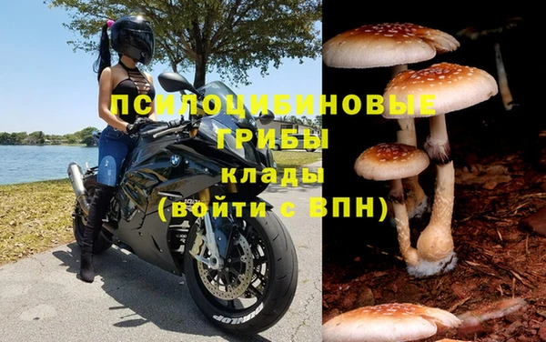 твердый Каменногорск