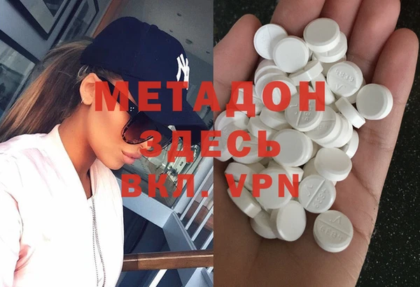 индика Каменка
