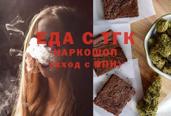 индика Каменка