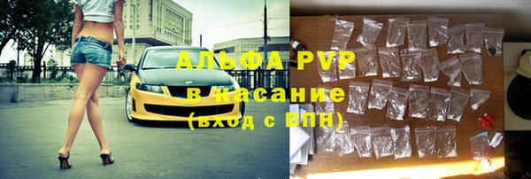 индика Каменка