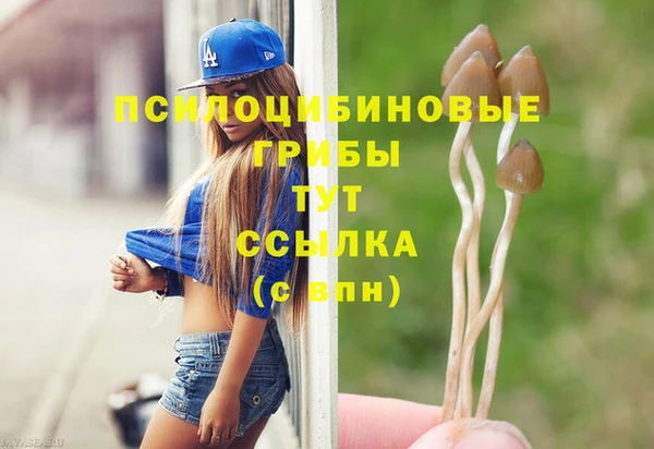 твердый Каменногорск