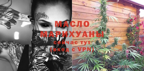 индика Каменка