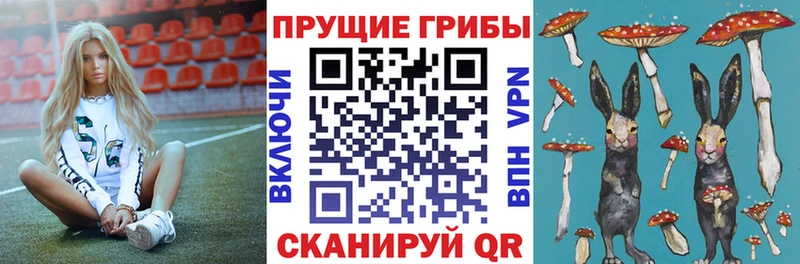 Псилоцибиновые грибы Cubensis Каменногорск
